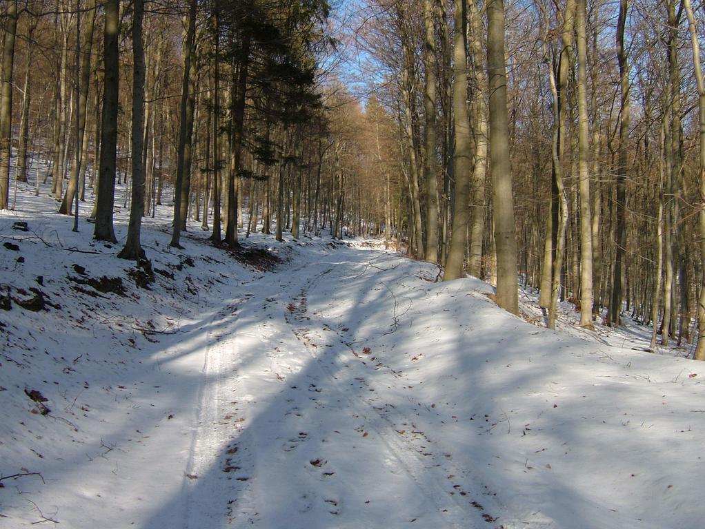Fliederhof Ferienwohnungen Herresbach Номер фото