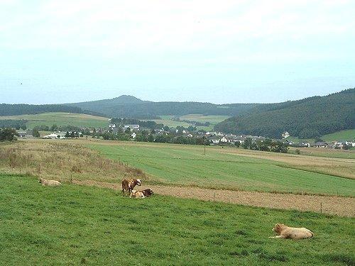 Fliederhof Ferienwohnungen Herresbach Номер фото
