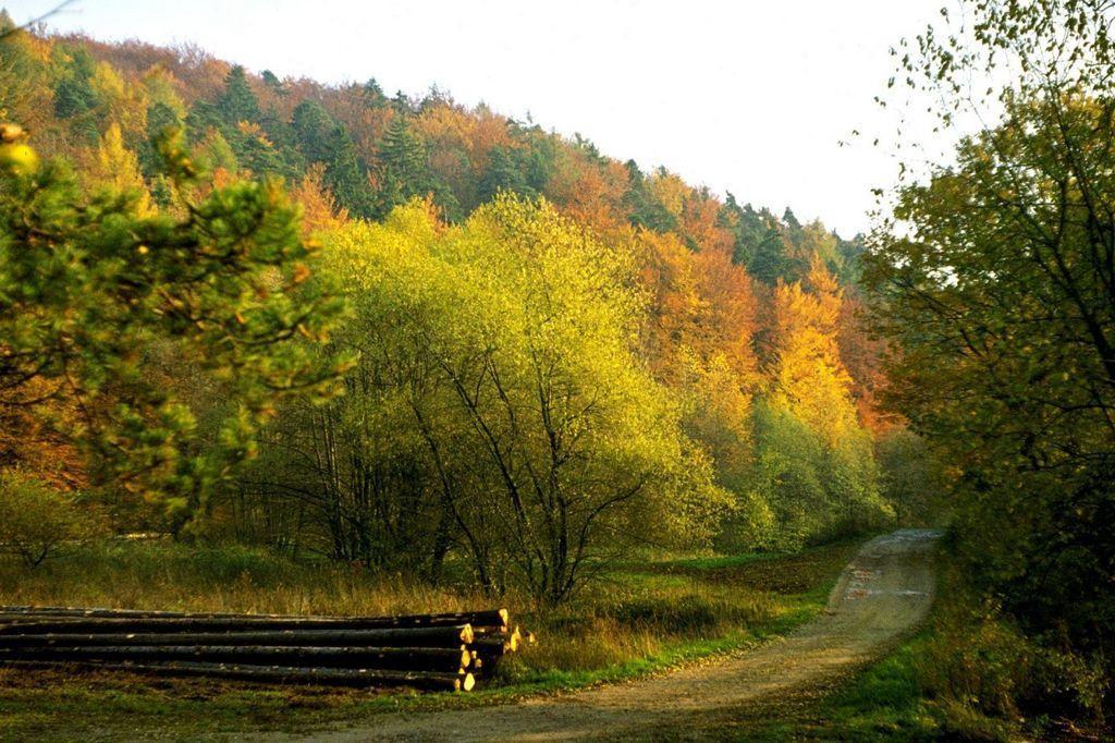 Fliederhof Ferienwohnungen Herresbach Номер фото