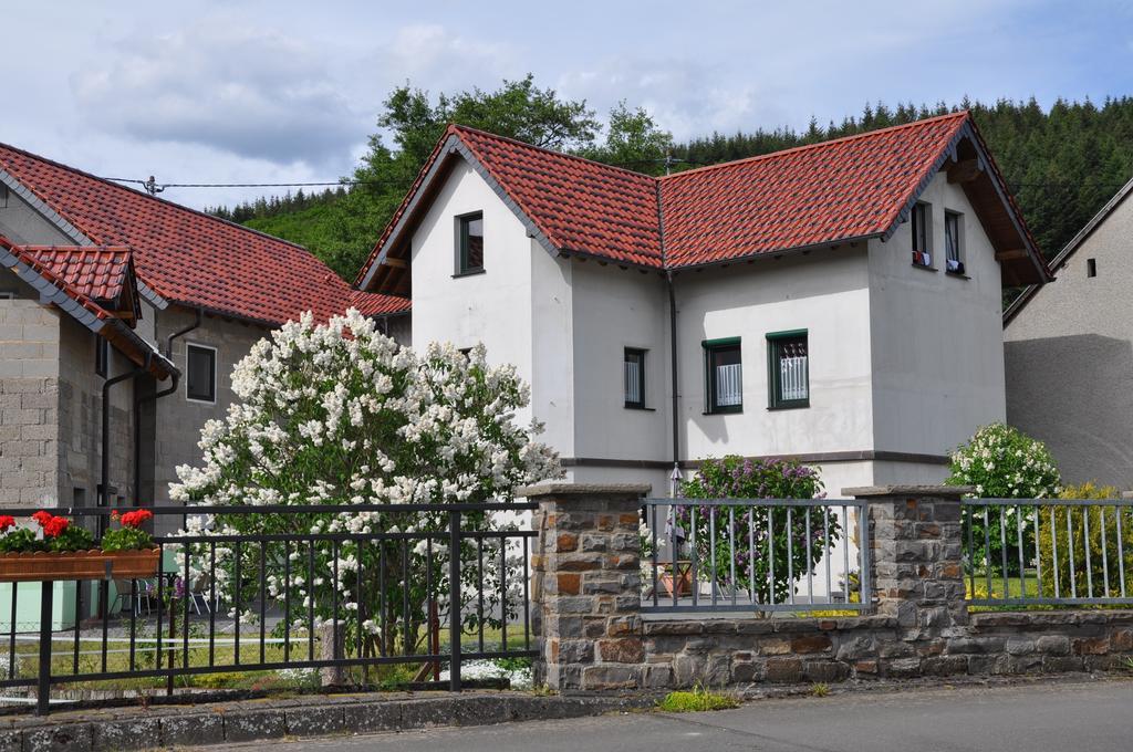 Fliederhof Ferienwohnungen Herresbach Номер фото
